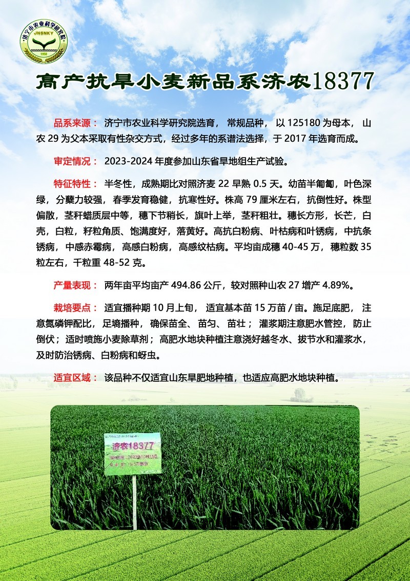 5 济农18377.jpg