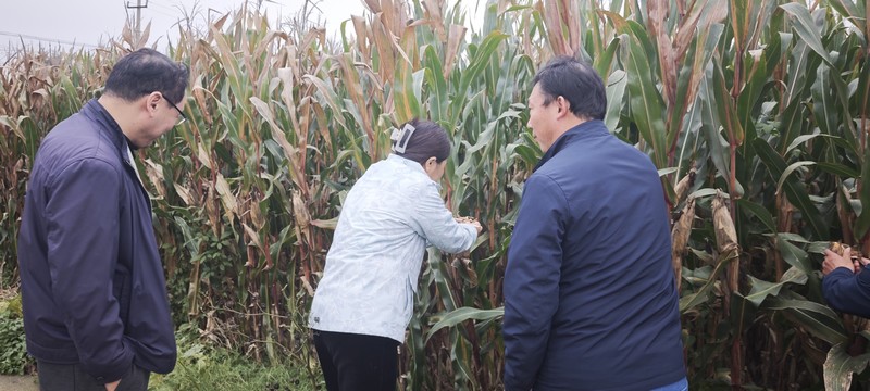 微信图片_20251013153432_32_72.jpg