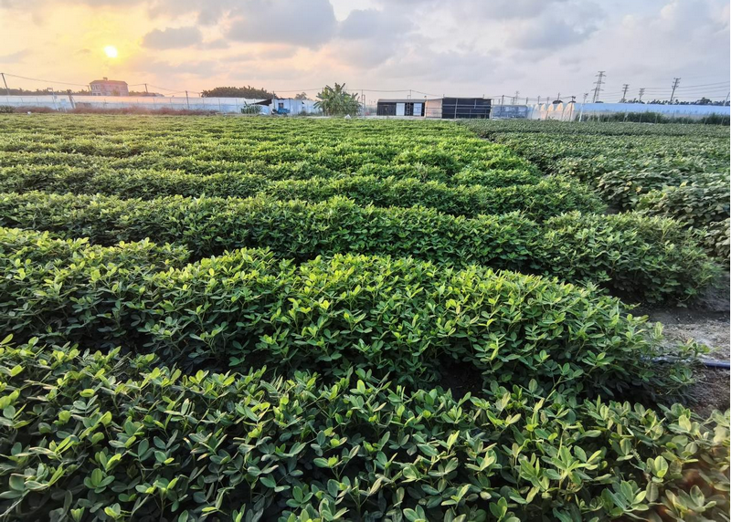 图片3.png 图片3.png