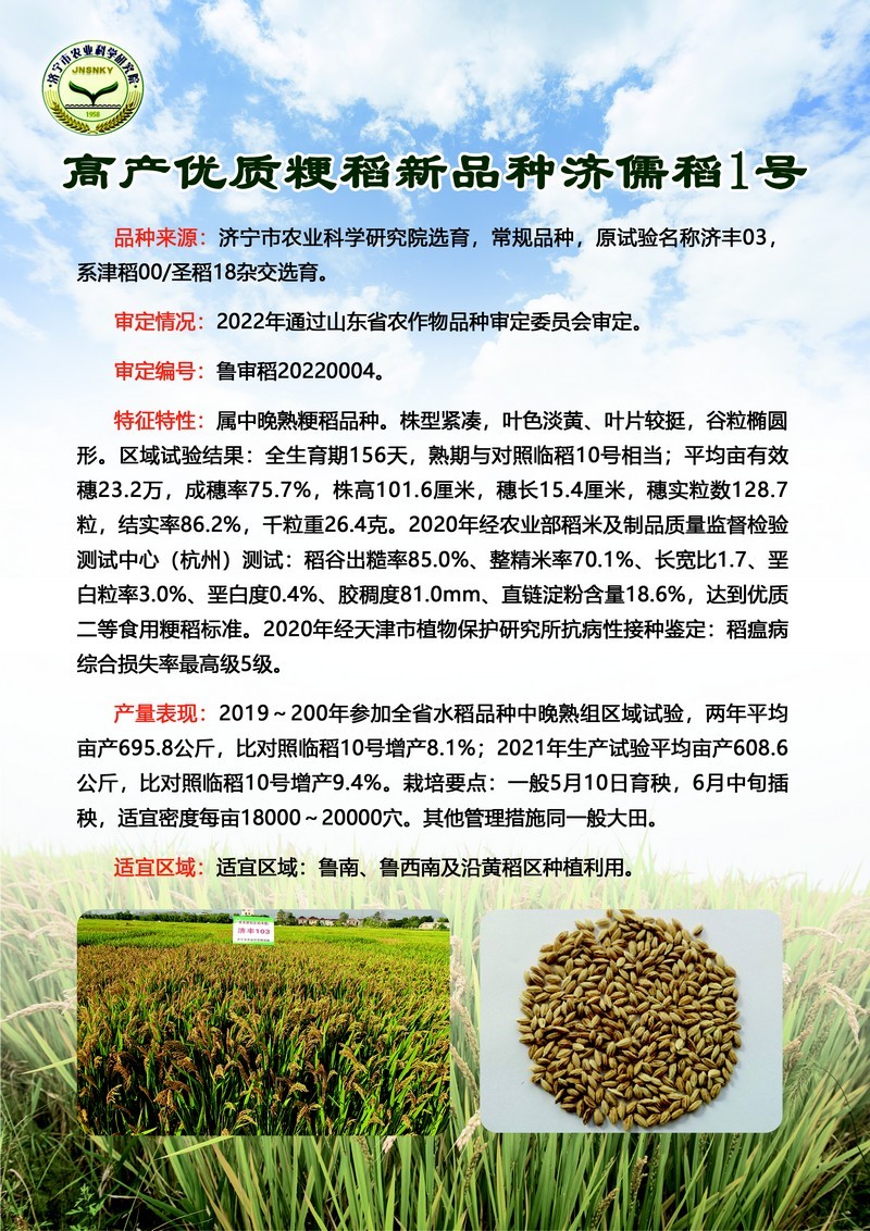 1 高产优质粳稻新品种 济儒稻1号.jpg