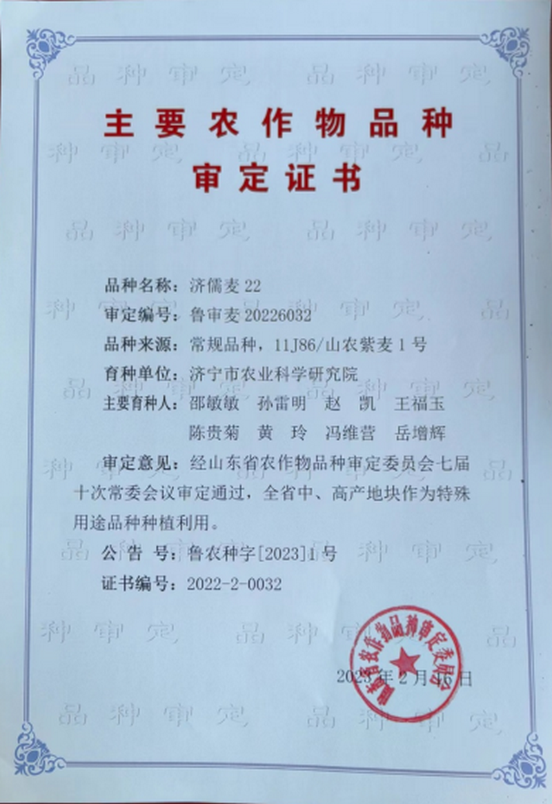 济麦220 01.png 济麦220 01.png