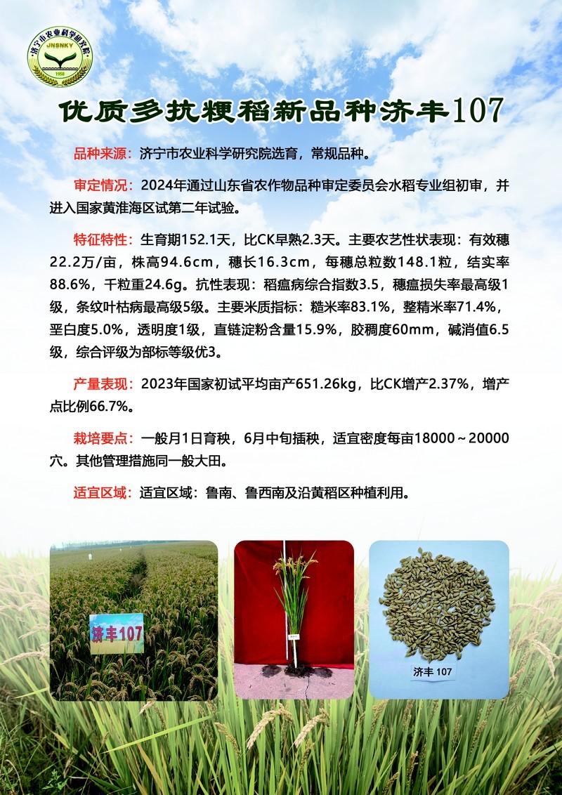 1 优质多抗粳稻新品种 济丰107.jpg