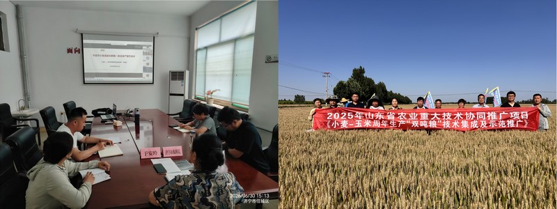 合并图.jpg